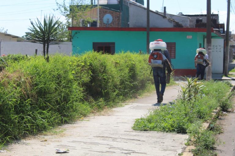 INICIA CAMPAÑA DE FUMIGACIÓN DE LOTES BALDÍOS EL AYUNTAMIENTO DE HUATUSCO