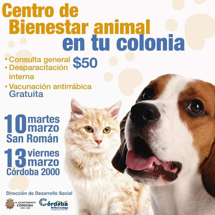 CENTRO DE BIENESTAR ANIMAL DE CÓRDOBA BRINDARÁ ATENCIÓN GRATUITA