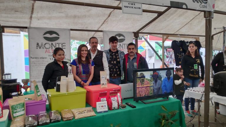 FIESTA DE CAFÉ, RITMO Y COLOR