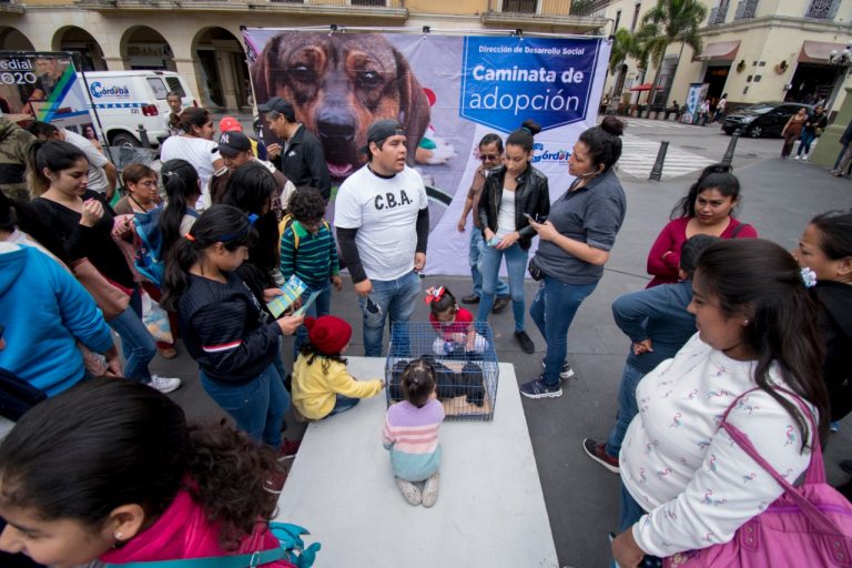 EN CÓRDOBA, CENTRO DE BIENESTAR ANIMAL ACERCA SUS SERVICIOS A LA POBLACIÓN