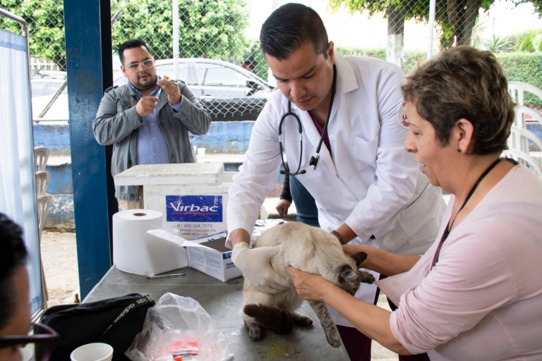 EXITOSA PRIMER JORNADA DE CBA EN TU COLONIA