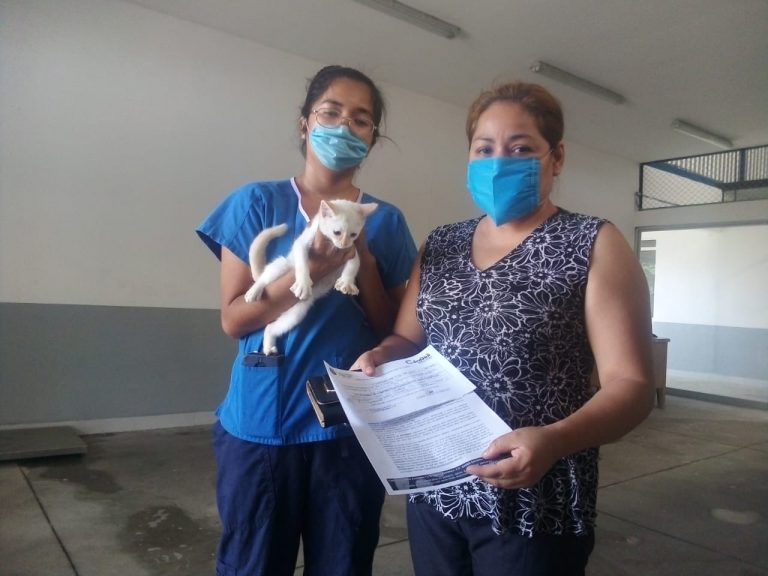 EN CÓRDOBA, POSITIVA RESPUESTA DE LA POBLACIÓN A INICIATIVA DEL CBA «ADOPTA DESDE CASA»