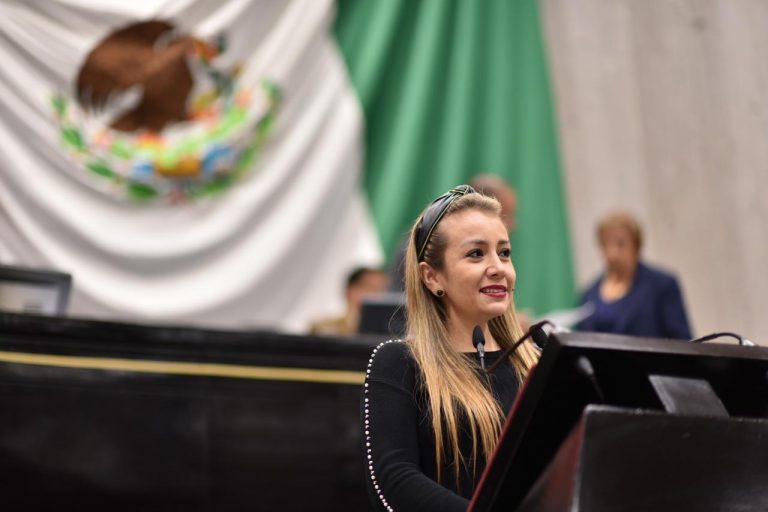 LLAMA DIPUTADA NORA LAGUNES A GARANTIZAR ACCESO A LA SALUD DE PERSONAS CON DISCAPACIDAD