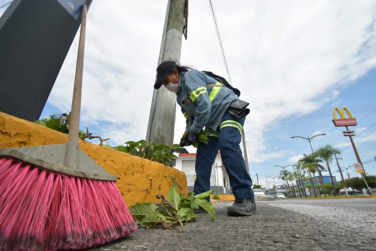 LIMPIAN Y SANITIZAN PARADAS DE AUTOBUSES Y ESPACIOS PÚBLICOS DE CÓRDOBA