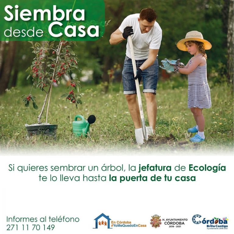 INICIA AYUNTAMIENTO DE CÓRDOBA CAMPAÑA SIEMBRA DESDE CASA
