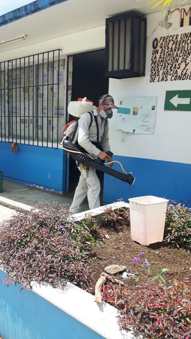 ELIMINAN CRIADEROS DE MOSCOS