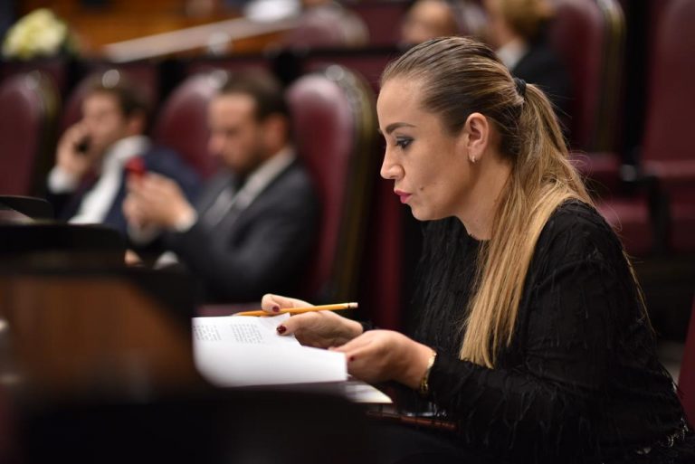 DIPUTADA NORA LAGUNES PIDE REFORZAR ACCIONES PREVENTIVAS CONTRA EL DENGUE