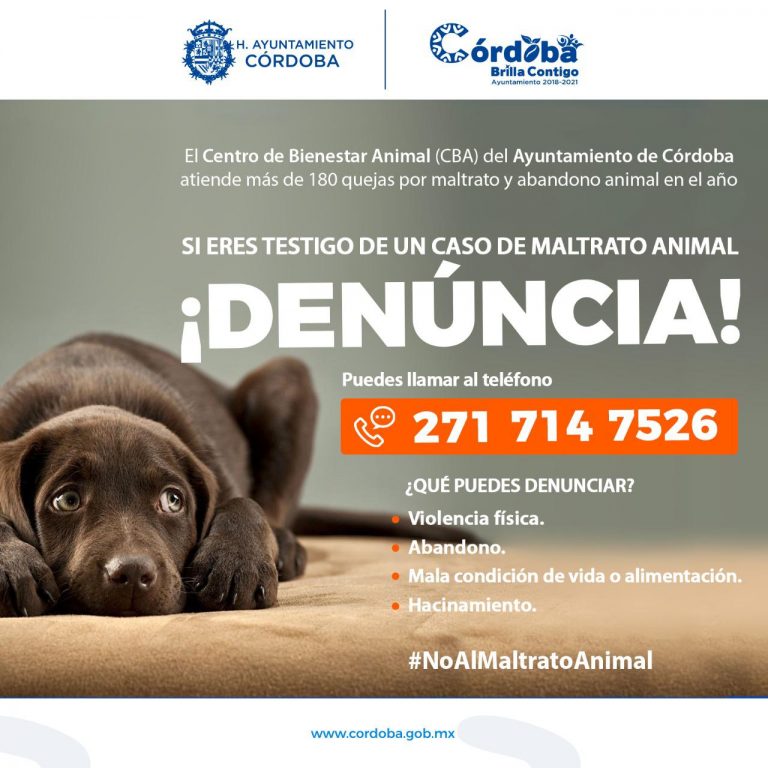 CBA CÓRDOBA ATIENDE MÁS DE 180 QUEJAS POR MALTRATO Y ABANDONO ANIMAL EN EL AÑO