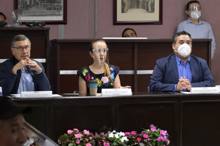 VERACRUZ SERÁ EL PRIMER ESTADO EN EL QUE ACTUALICEN PADRÓN CAFETALERO, NORA LAGUNES