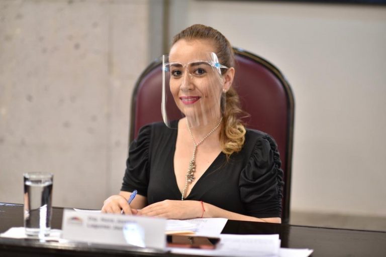 VISIBILIZAR VIOLENCIA EN EL NOVIAZGO Y VIOLENCIA MEDIÁTICA, PROPONE NORA LAGUNES
