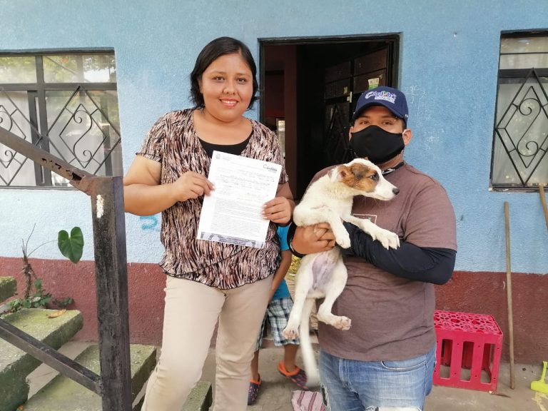 CENTRO DE BIENESTAR ANIMAL EN CÓRDOBA INVITA A ADOPTAR DESDE CASA