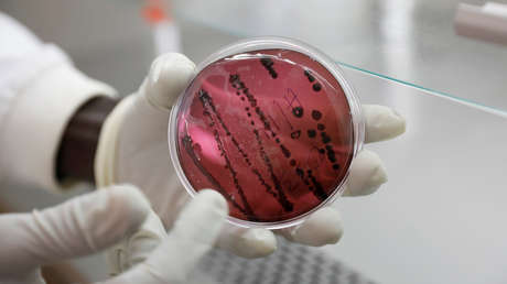 UN NUEVO VIRUS LETAL SIMILAR AL ÉBOLA Y QUE SE CONTAGIA DE PERSONA A PERSONA PRENDE LAS ALERTAS TRAS UN BROTE EN BOLIVIA