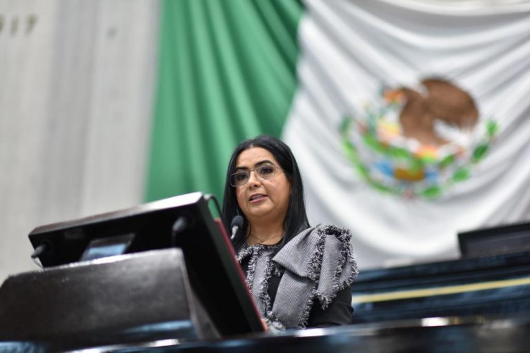 PIDE DIPUTADA FORTALECER INSTITUCIONES MUNICIPALES DE PROTECCIÓN DE LA NIÑEZ