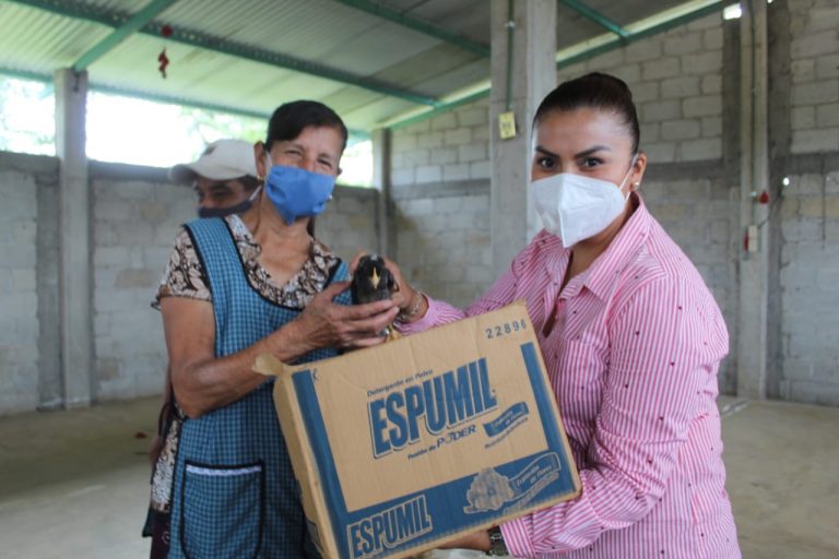 INICIA LA ENTREGA DEL PROGRAMA MUNICIPAL «POLLITAS PONEDORAS»
