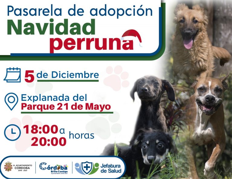 INVITAN A ADOPCIÓN NAVIDAD PERRUNA PARA ANIMALES DE COMPAÑÍA QUE BUSCAN NUEVO HOGAR