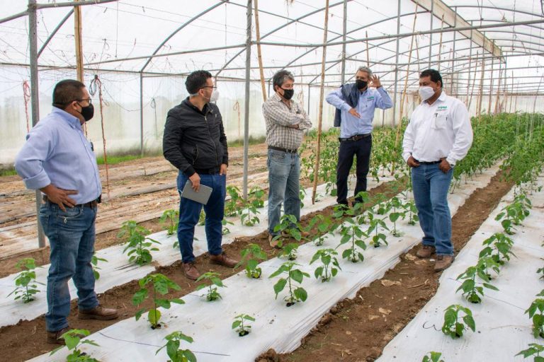 CON LA COLABORACIÓN DEL INIFAP SE FORTALECE EL CAMPO DE CÓRDOBA