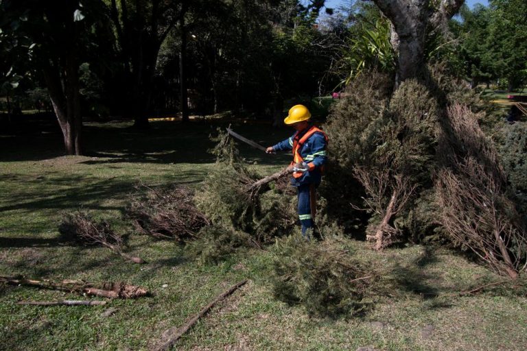 AYUNTAMIENTO DE CÓRDOBA REDOBLARÁ ESFUERZOS EN MATERIA AMBIENTAL DURANTE EL 2021