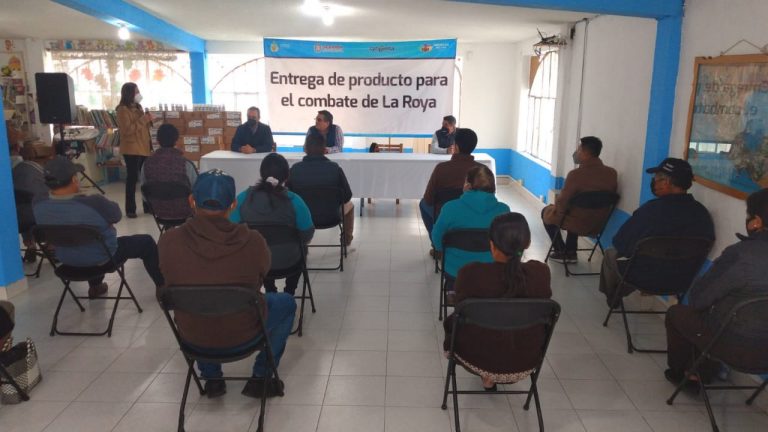 DISTRIBUYEN FUNGICIDA PARA EL COMBATE A LA ROYA