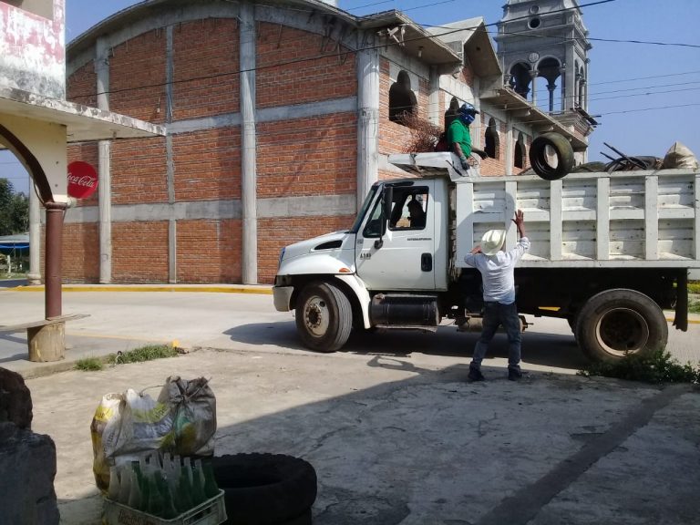 ELIMINAN MÁS DE 2 TONELADAS DE CRIADEROS DE MOSCOS