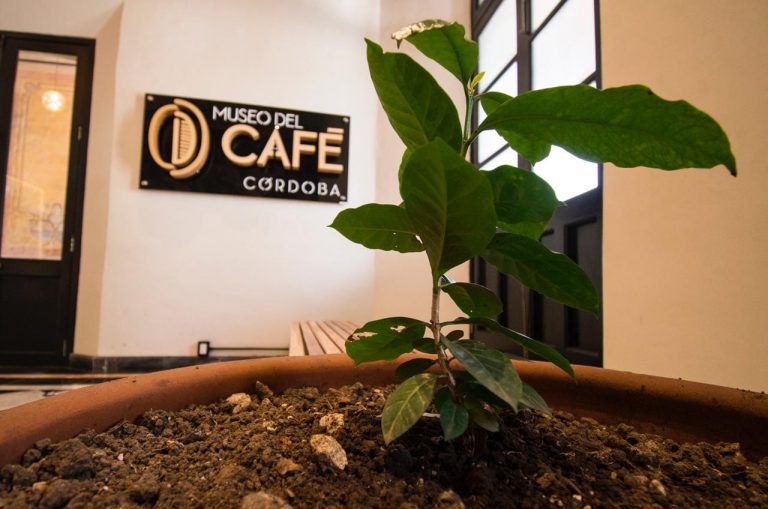 AMPLÍA HORARIO MUSEO DEL CAFÉ DE CÓRDOBA POR PERIODO VACACIONAL DE SEMANA SANTA