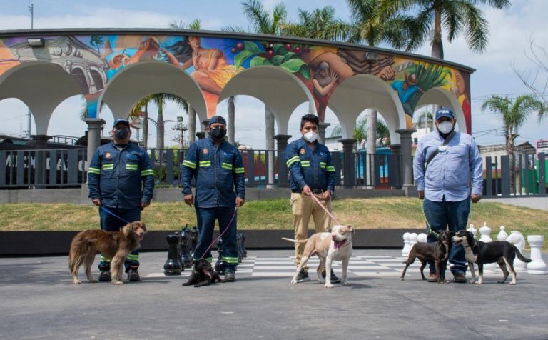 INVITAN CBA DEL AYUNTAMIENTO DE CÓRDOBA A PASARELA DE ADOPCIÓN CANINA