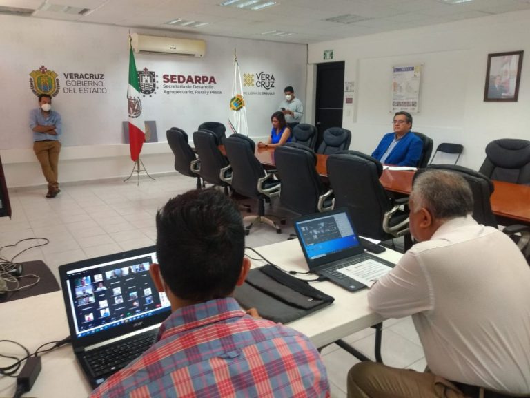 CONFIRMAN TAZA DE EXCELENCIA EN IXHUATLÀN DEL CAFÉ