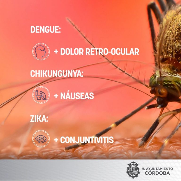 URGE JEFATURA DE SALUD DE CÓRDOBA A ELIMINAR CRIADEROS DE MOSCO ANTE INICIO DE TEMPORADA DE LLUVIAS