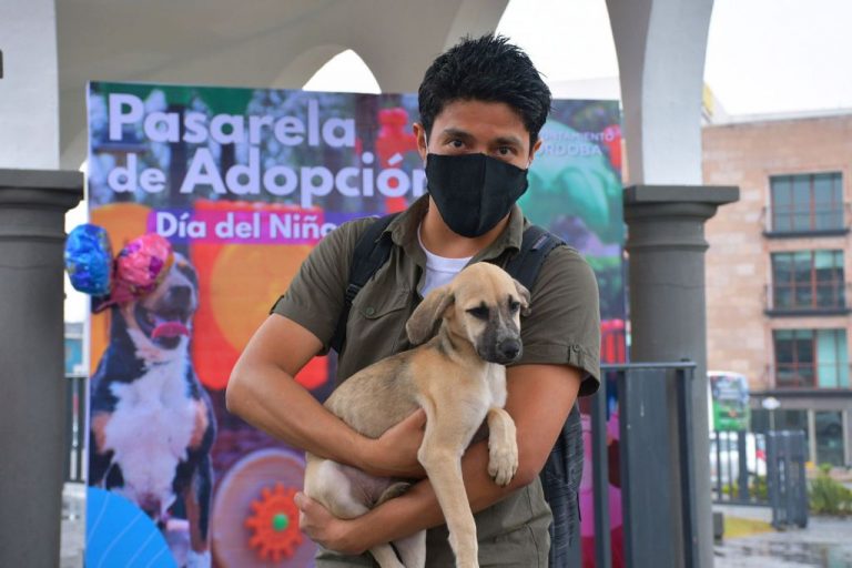 CINCO ANIMALES DE COMPAÑÍA ENCUENTRAN NUEVO HOGAR GRACIAS A CAMINATA CANINA