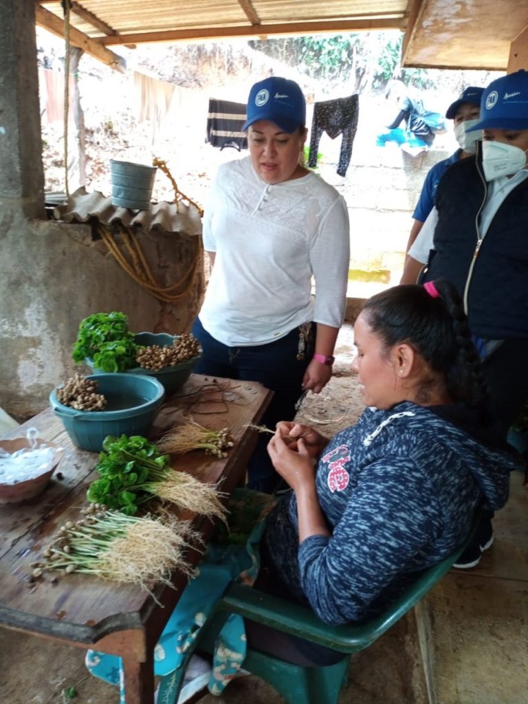 VAN CON ANABEL DOMÍNGUEZ; LOS LIRIOS, MOCTEZUMA Y ZACAMITLA