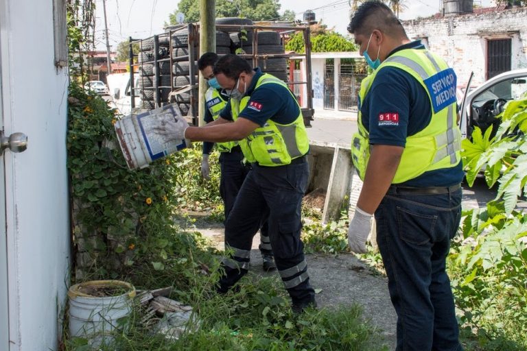 AYUNTAMIENTO DE CÓRDOBA ALISTA 2DA. JORNADA DE ELIMINACIÓN MASIVA DE CRIADEROS DE MOSCOS