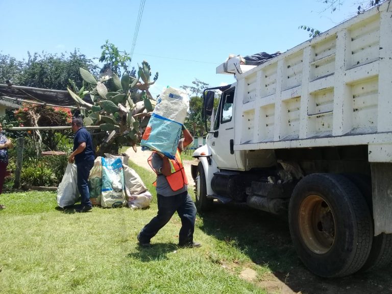 ELIMINAN POSIBLES CRIADEROS DE MOSCOS