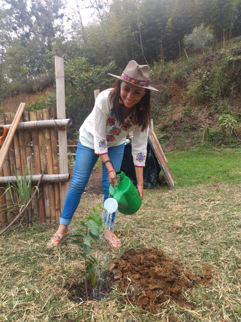 INICIA EL VIERNES CAMPAÑA DE REFORESTACIÓN