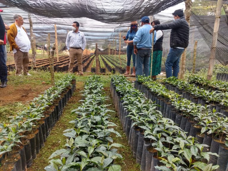 VINCULAN A TODO CAFÉ CON EL CONSEJO MEXICANO DE CAFÉS EXTRAORDINARIOS