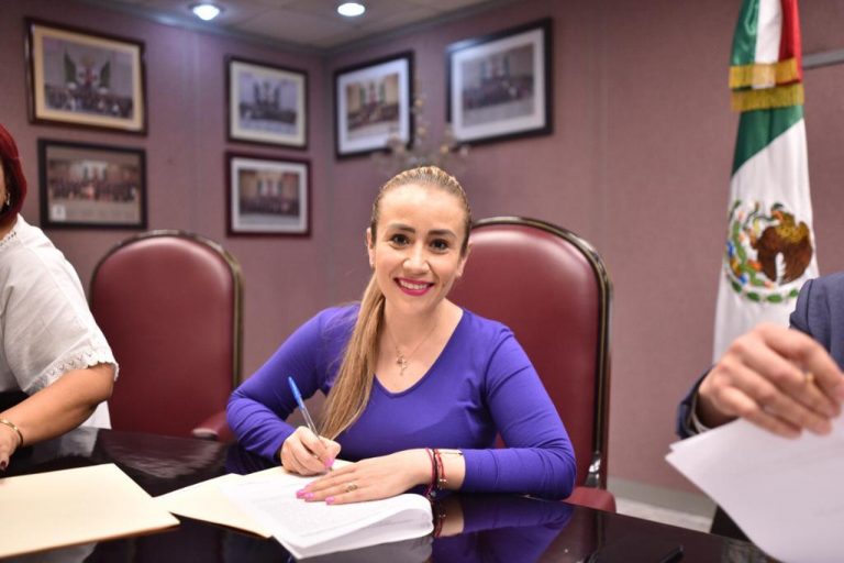 NORA LAGUNES LEGISLARÁ A FAVOR DEL MEDIO AMBIENTE EN VERACRUZ