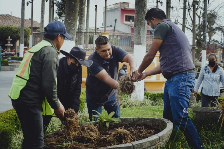 LIMPIAN ÁREAS VERDES EN COSCOMATEPEC
