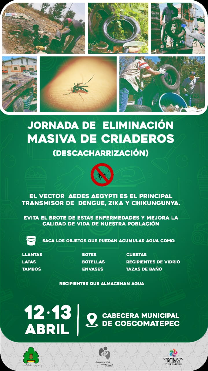 INICIARÁN JORNADAS DE ELIMINACIÓN DE CRIADEROS CONTRA EL DENGUE