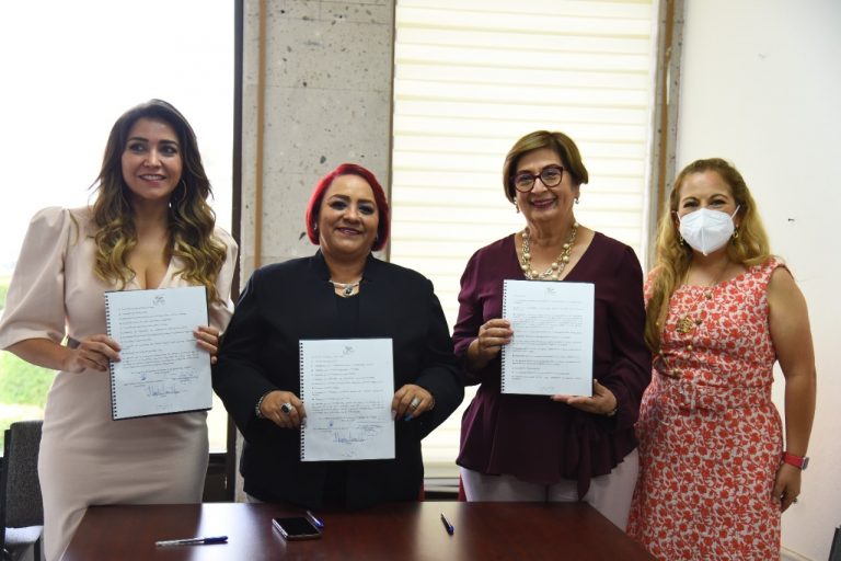 APRUEBA COMISIÓN DE SALUD Y ASISTENCIA SU PROGRAMA ANUAL DE TRABAJO