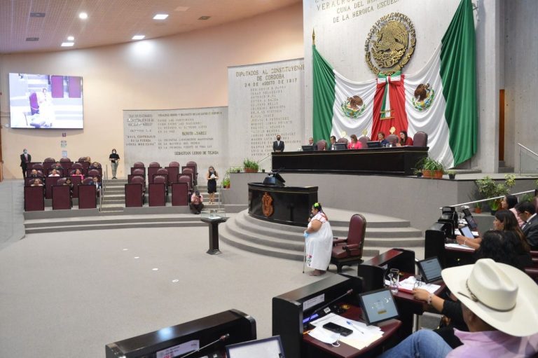 RECRIMINA GÓMEZ CAZARÍN A LEGISLADORES DEL PRI Y PAN SU MENOSPRECIO HACIA LAS MUJERES