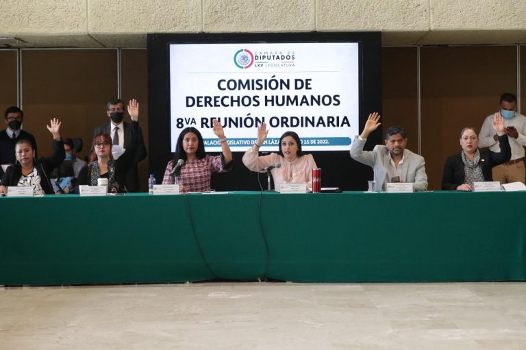 APRUEBAN DICTÁMENES SOBRE PROTECCIÓN DE PERSONAS PRIVADAS DE SU LIBERTAD Y PERIODISTAS