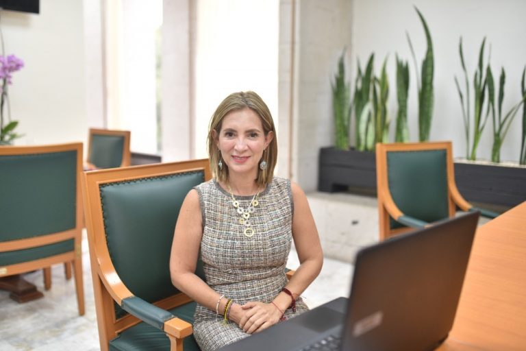 CRIANZA POSITIVA EN HOGARES VERACRUZANOS, PROPONE DIPUTADA