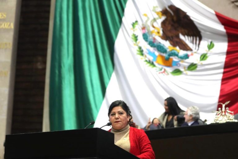 PROPONEN QUE EL USO DE LA FUERZA PÚBLICA SE RIJA POR LOS PRINCIPIOS DE RACIONALIDAD Y OPORTUNIDAD