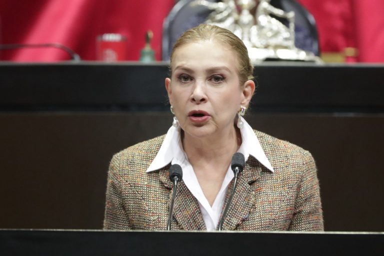 PIDEN SANCIONAR DE SEIS MESES A 5 AÑOS DE PRISIÓN A QUIEN EJERZA VIOLENCIA EN CONTRA DE ANIMALES DE COMPAÑÍA