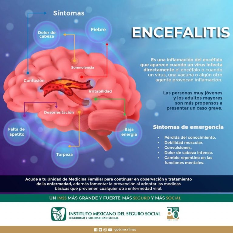 INFORMA IMSS VERACRUZ SUR SOBRE SÍNTOMAS DE ENCEFALITIS