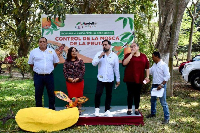 BUSCA MARCOS ISLEÑO REACTIVAR PRODUCCIÓN DE MANGO EN MEDELLÍN