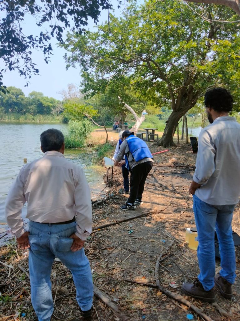 INVESTIGA AYUNTAMIENTO DE MEDELLÍN MORTANDAD DE PECES EN LAGUNA ARTIFICIAL DE LAGOS DE PUENTE MORENO