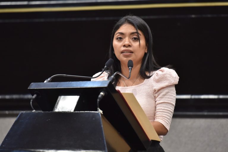 EVITAR USO DE PIROTECNIA EN EL ESTADO, PROPONE DIPUTADA