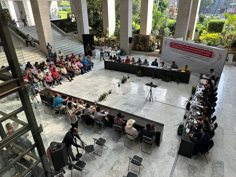 TEV PARA «MADRUGUETE» DEL OPLE CON CONSULTA A PUEBLOS ORIGINARIOS Y AFRODESCENDIENTES