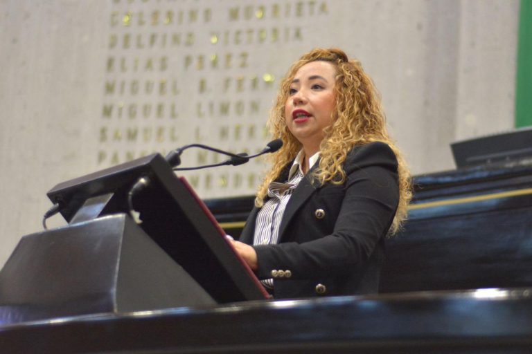 PROTEGER ANIMALES DESDE REGLAMENTOS MUNICIPALES, PIDE DIPUTADA