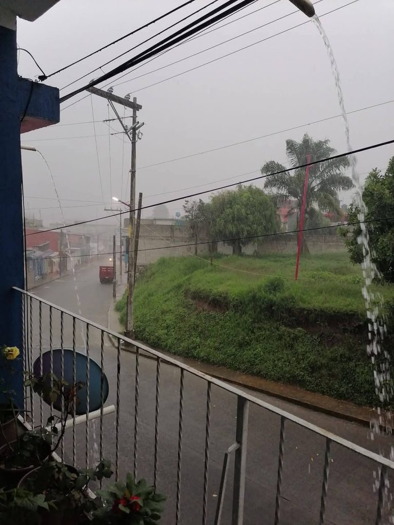 AYUNTAMIENTO DE HUATUSCO DAÑA ÁREAS VERDES DE LA COLONIA LOS ENCINOS