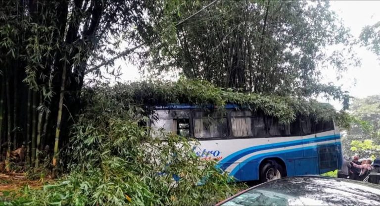 TRÁILER INVADE CARRIL Y OBLIGA A AUTOBÚS DE ASTRO NEW A SALIRSE DE LA CARRETERA